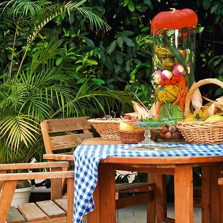 Flat In Alsace Near Vosges Nature Park * Morschwiller