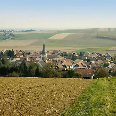 Flat In Alsace Near Vosges Nature Park Apartament Morschwiller