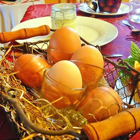 Flat In Alsace Near Vosges Nature Park Apartament