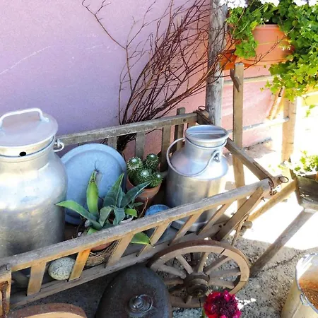 Apartament Flat In Alsace Near Vosges Nature Park Morschwiller