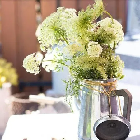 Flat In Alsace Near Vosges Nature Park * Morschwiller