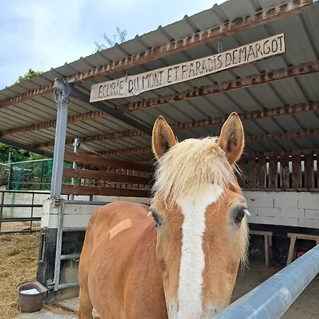 Flat In Alsace Near Vosges Nature Park Apartament