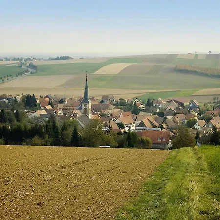 Flat In Alsace Near Vosges Nature Park Apartament Morschwiller