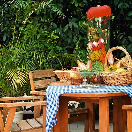 Appartement Flat In Alsace Near Vosges Nature Park *
