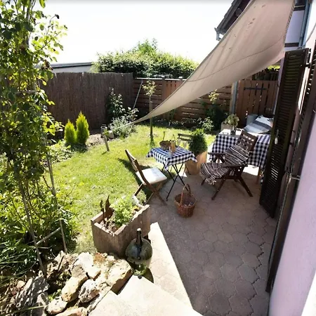 Flat In Alsace Near Vosges Nature Park Morschwiller