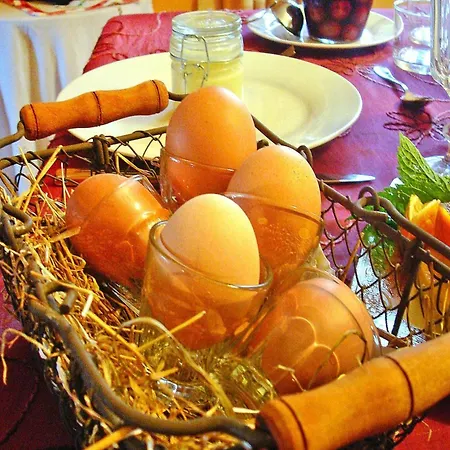 Flat In Alsace Near Vosges Nature Park * Morschwiller