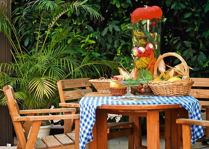 Flat In Alsace Near Vosges Nature Park * Morschwiller