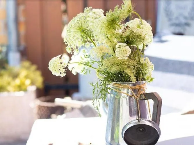 Flat In Alsace Near Vosges Nature Park * Morschwiller