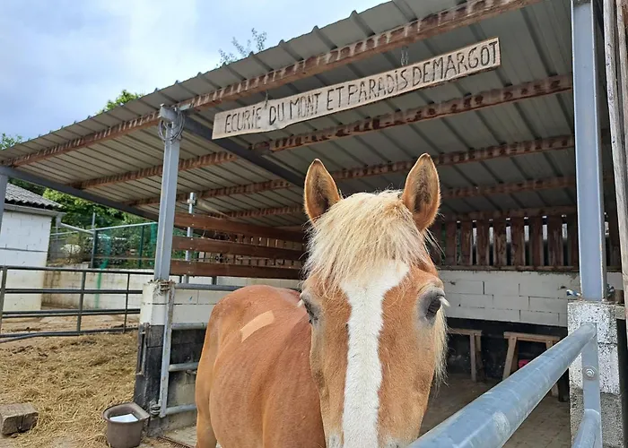 Flat In Alsace Near Vosges Nature Park Apartmán